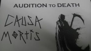 Causa Audition image